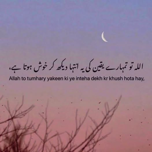 Maria Baloch tweet media