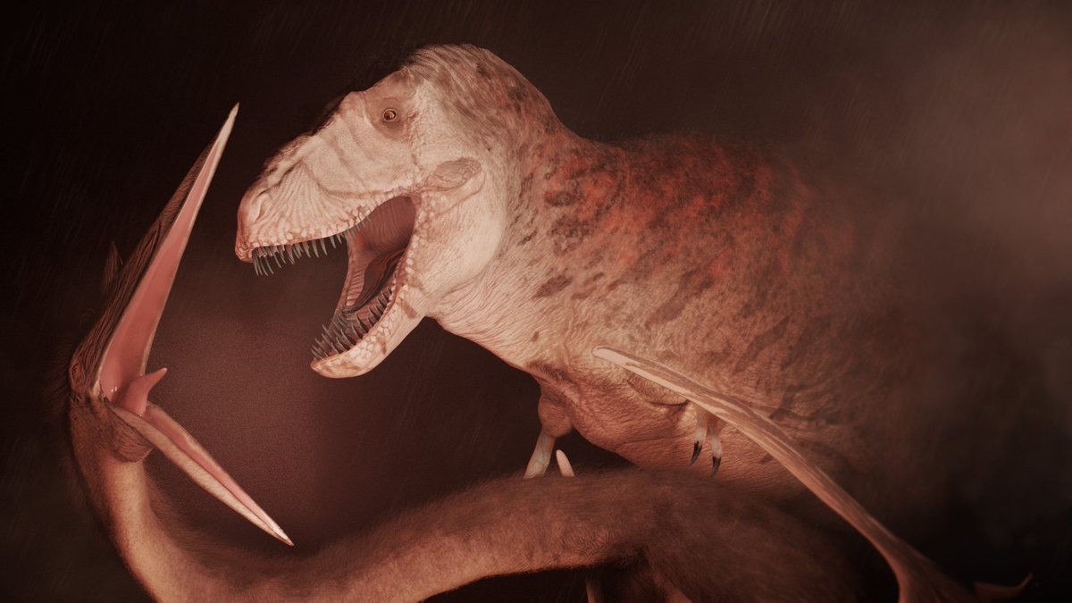 Nicole Birk tweet media