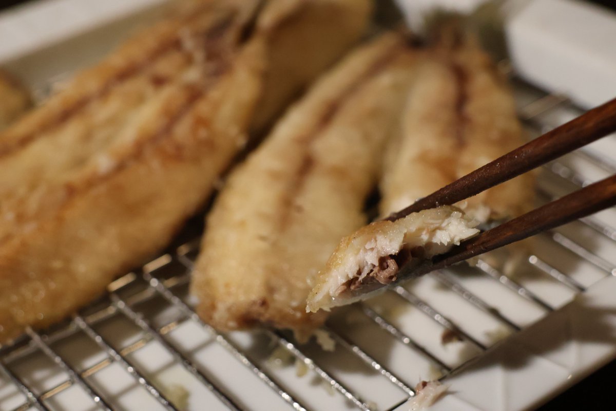 石川県漁業協同組合／JFいしかわ【公式】 tweet media