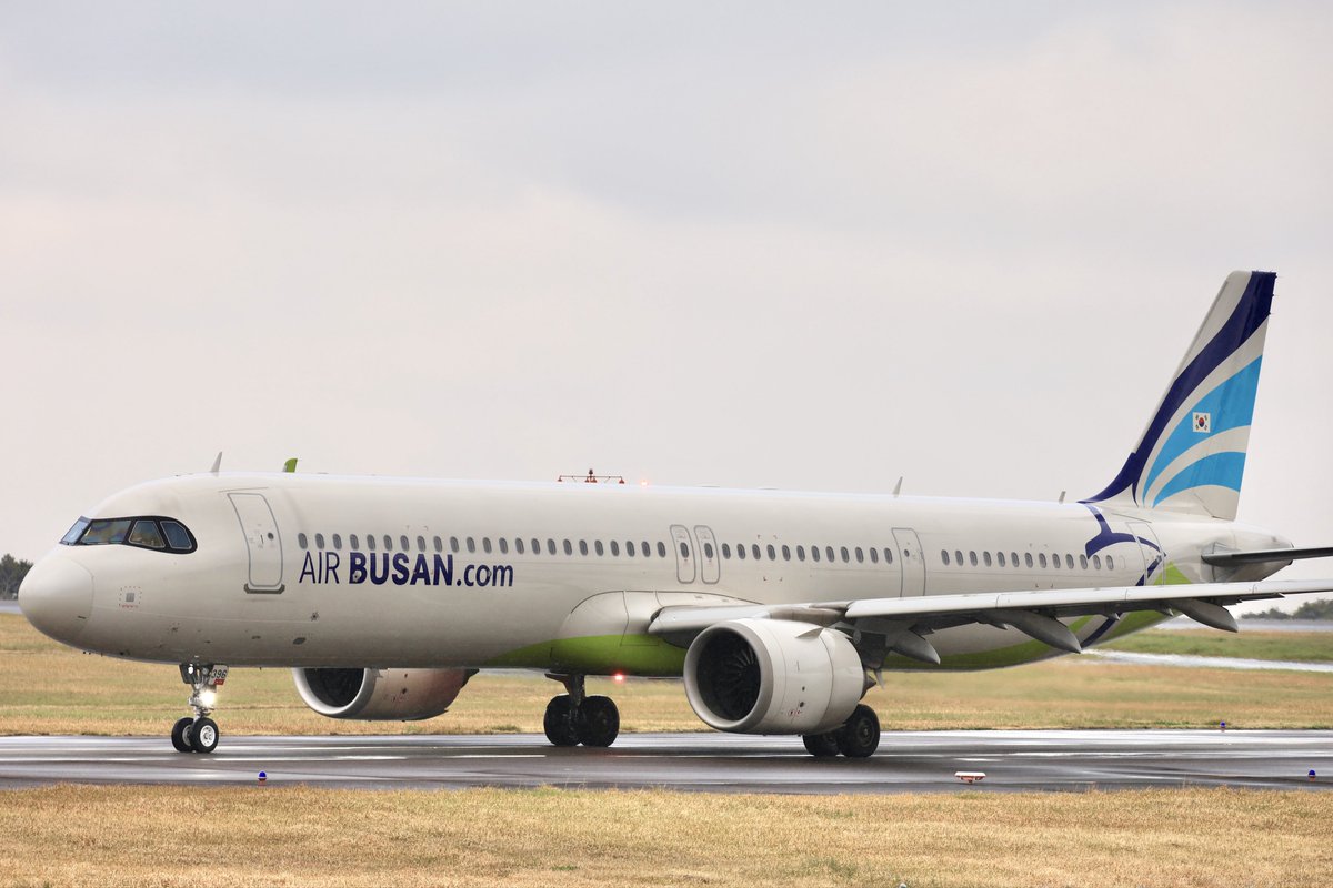 空カエル🐸 tweet media