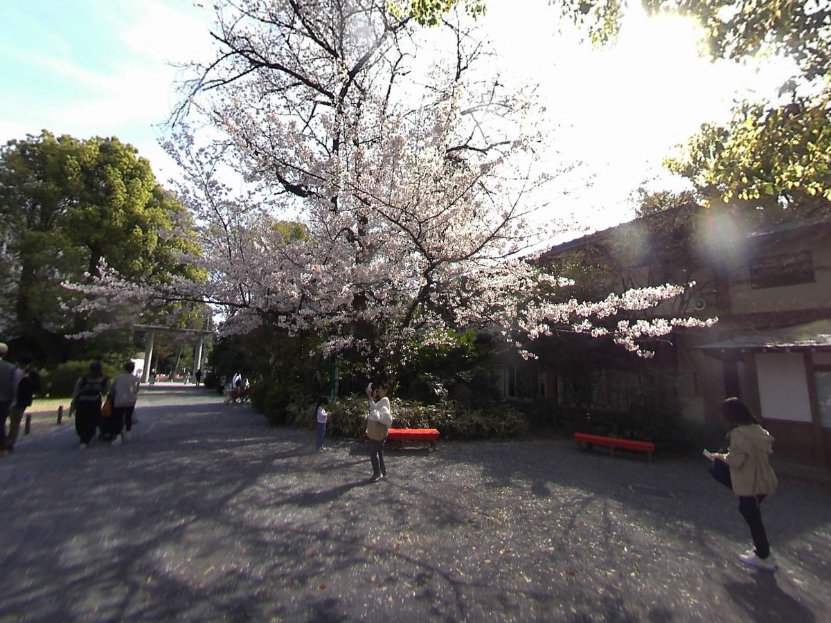 HAL_lovot tweet media