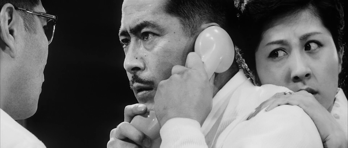 the cinema fella tweet media