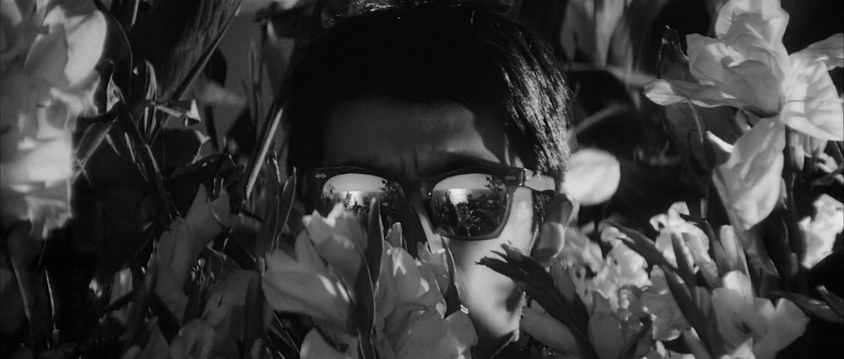 the cinema fella tweet media