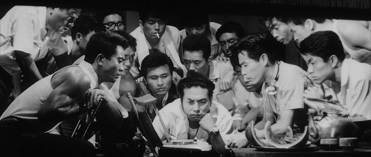 the cinema fella tweet media