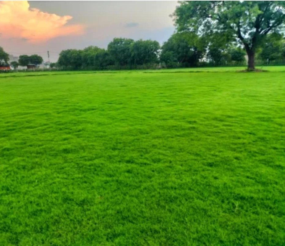 Haroun Kanj al-Ikhwani Salafi Ash'ari Sufi Shia tweet media