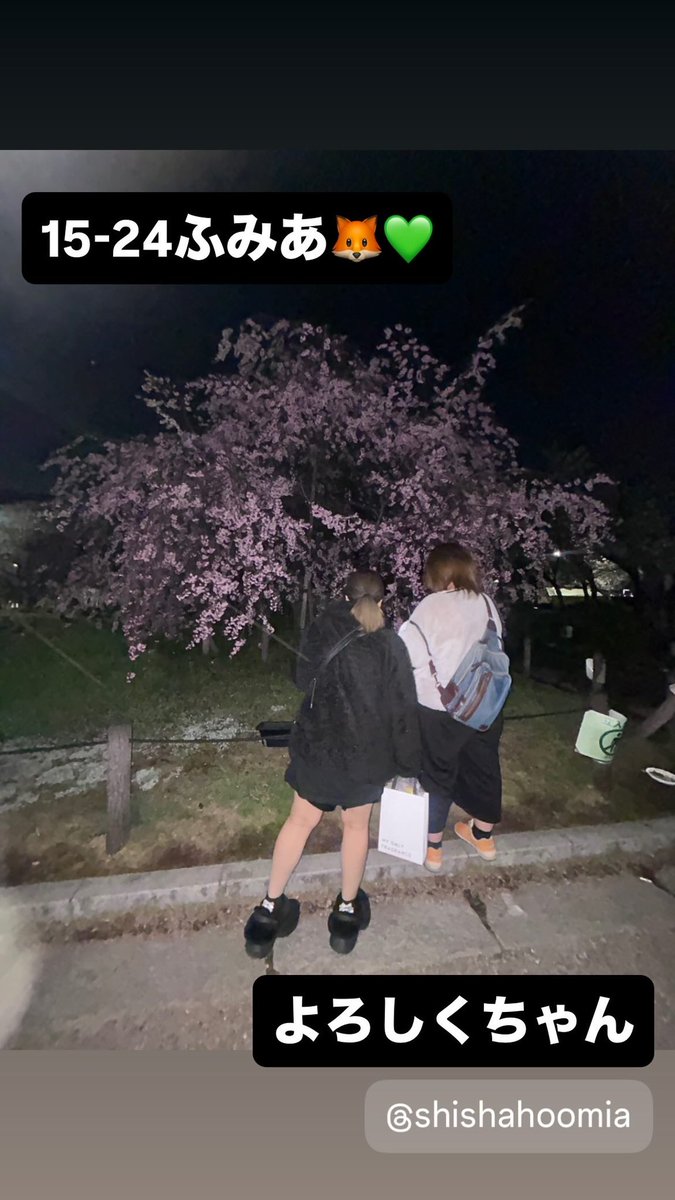 ななろん🦊 tweet media