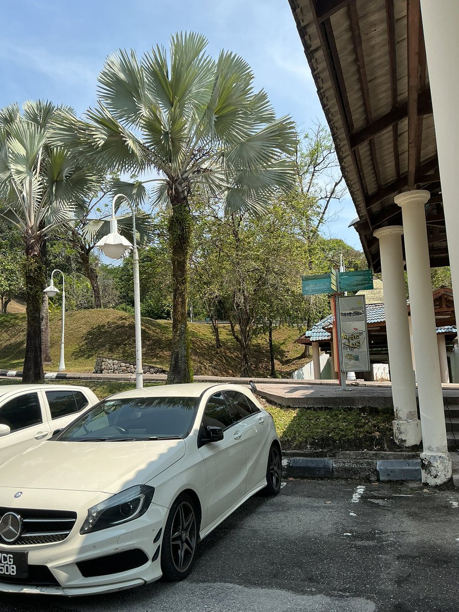 neyy ☆ﾟ⁠.⁠*⁠･⁠｡° tweet media