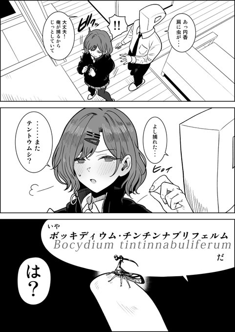 詳しいんですね、ミスター・ファーブル昆虫記 