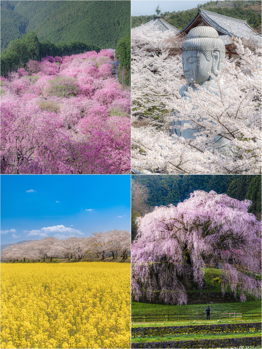 City explorer tweet media