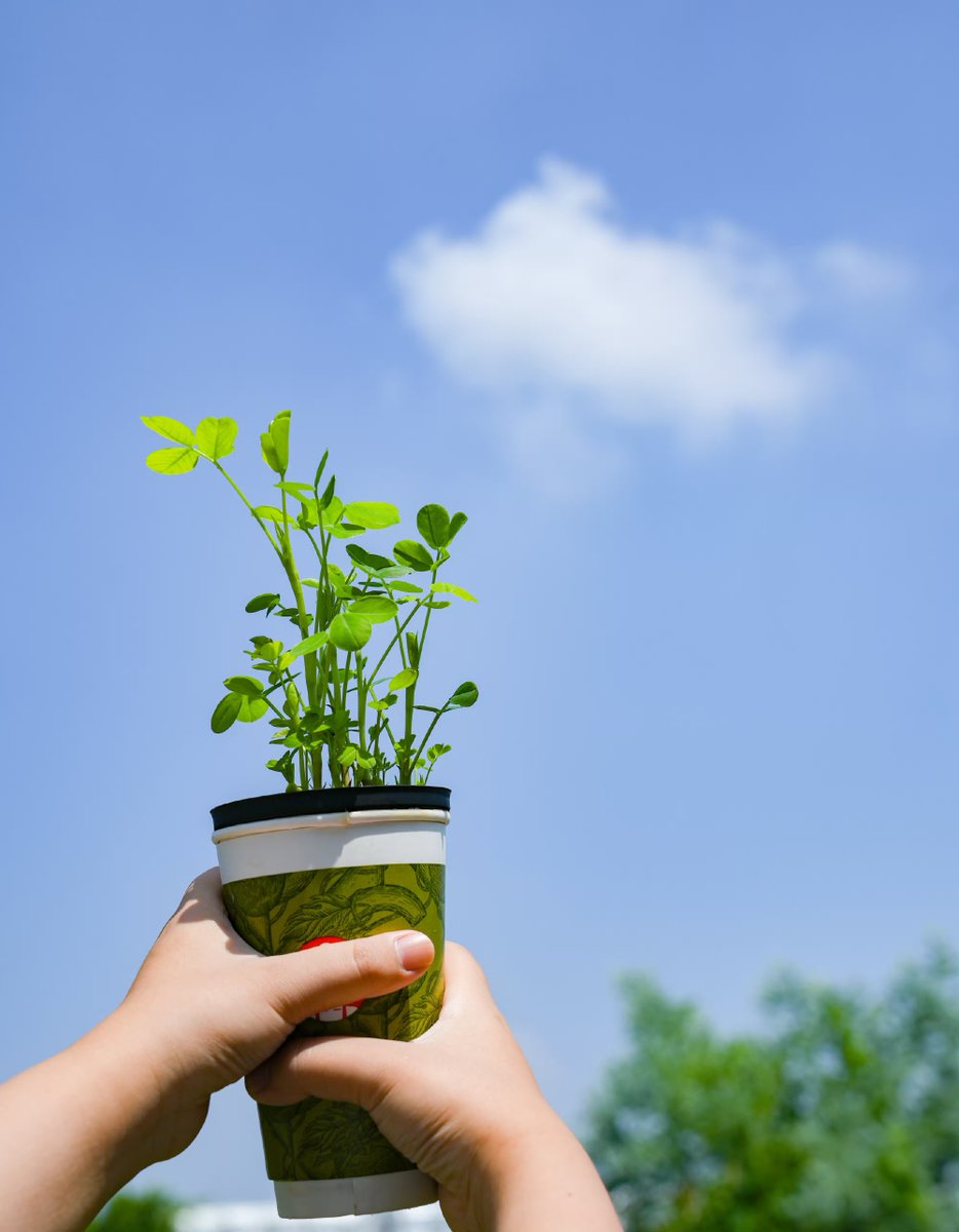 Ag Rodrigues tweet media