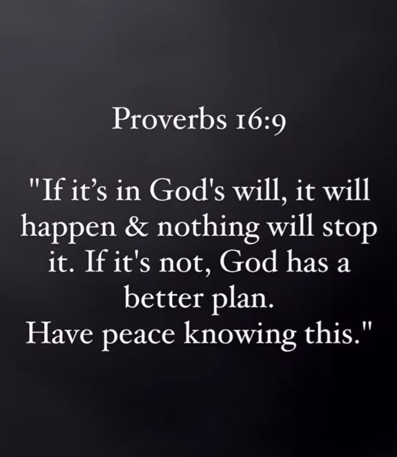 Bible 365 tweet media