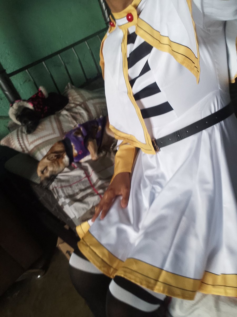 luna~fem tweet media