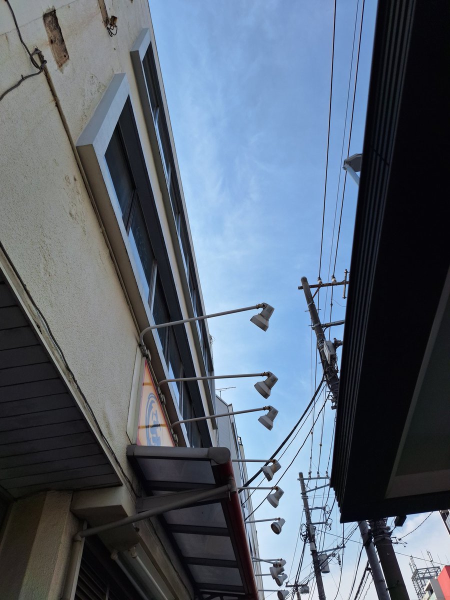 天津＠麺5本 tweet media