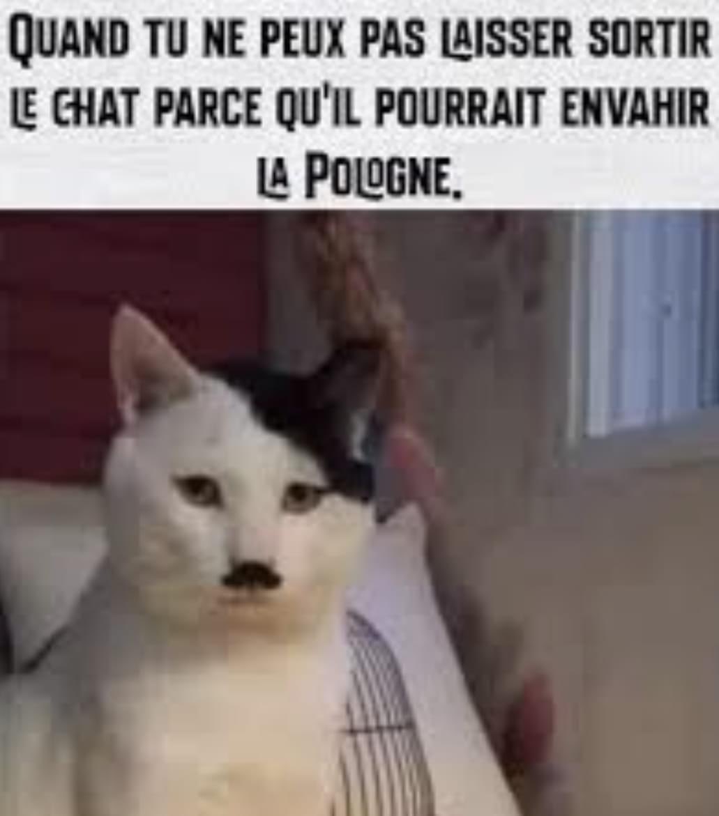 Elise Daycard tweet media