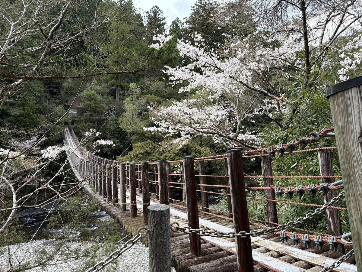 Wind Calm tweet media