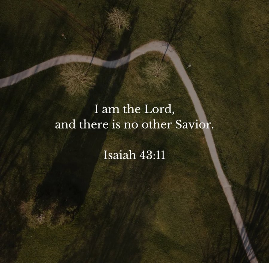 Bible 365 tweet media