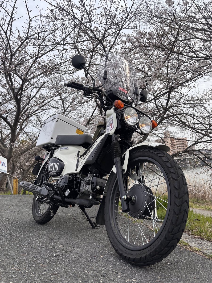 ヒデゾウ(アクノソシキ2軍)播州角目連合 tweet media