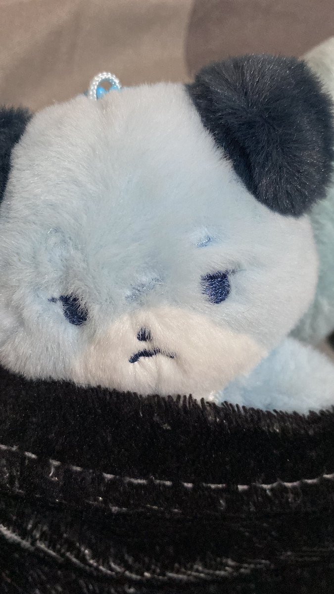 enji ⭑.ᐟ tweet media