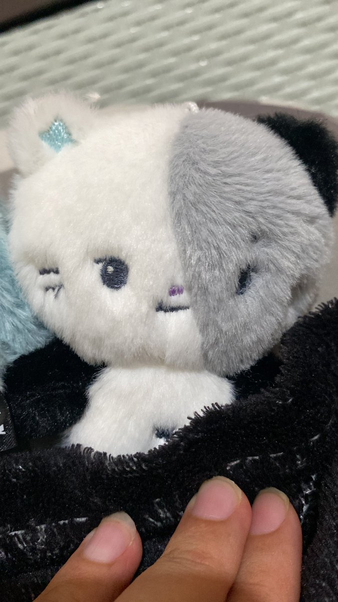 enji ⭑.ᐟ tweet media