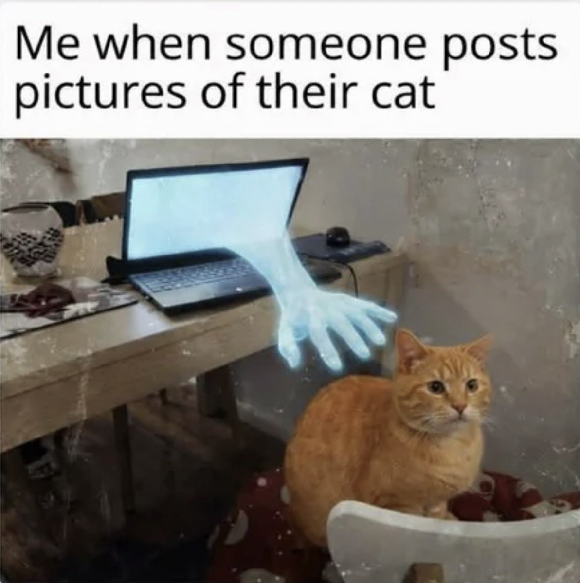 Antidepressant Content tweet media