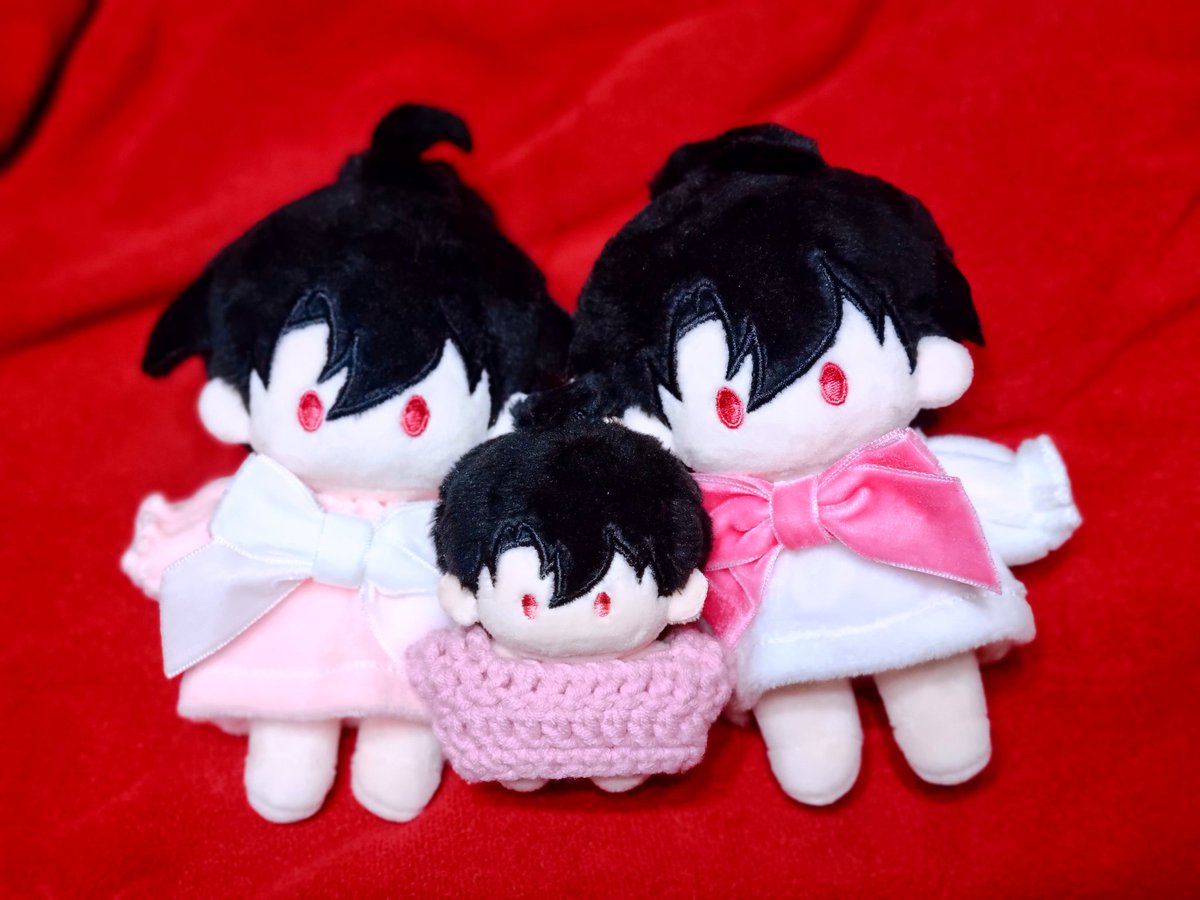 카노푸스🌸 tweet media