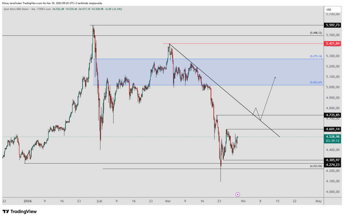 Kamile Uray tweet media