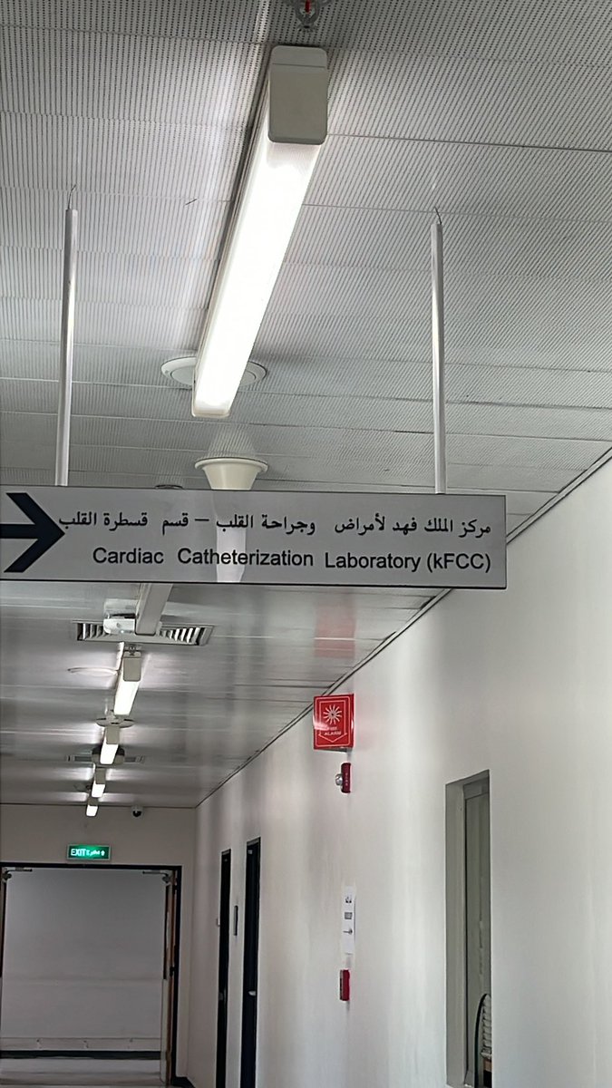 Layan 🦋 tweet media