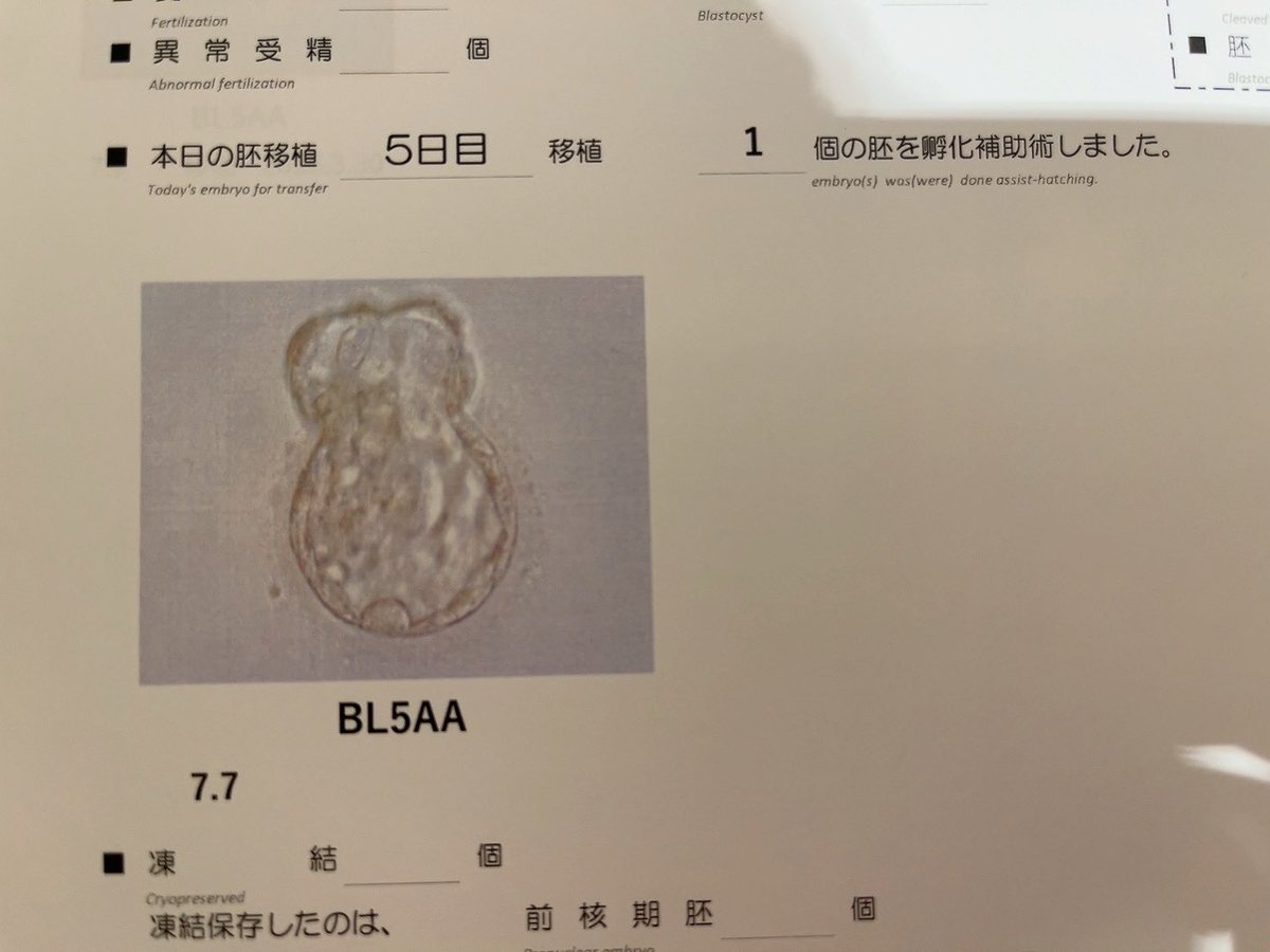 わい @1人目妊活 判定待ち tweet media