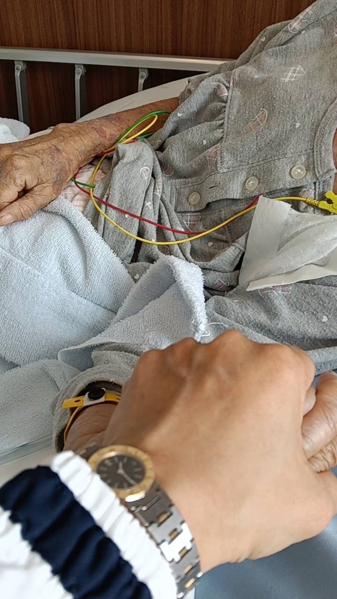 プティとアッシュのママ tweet media