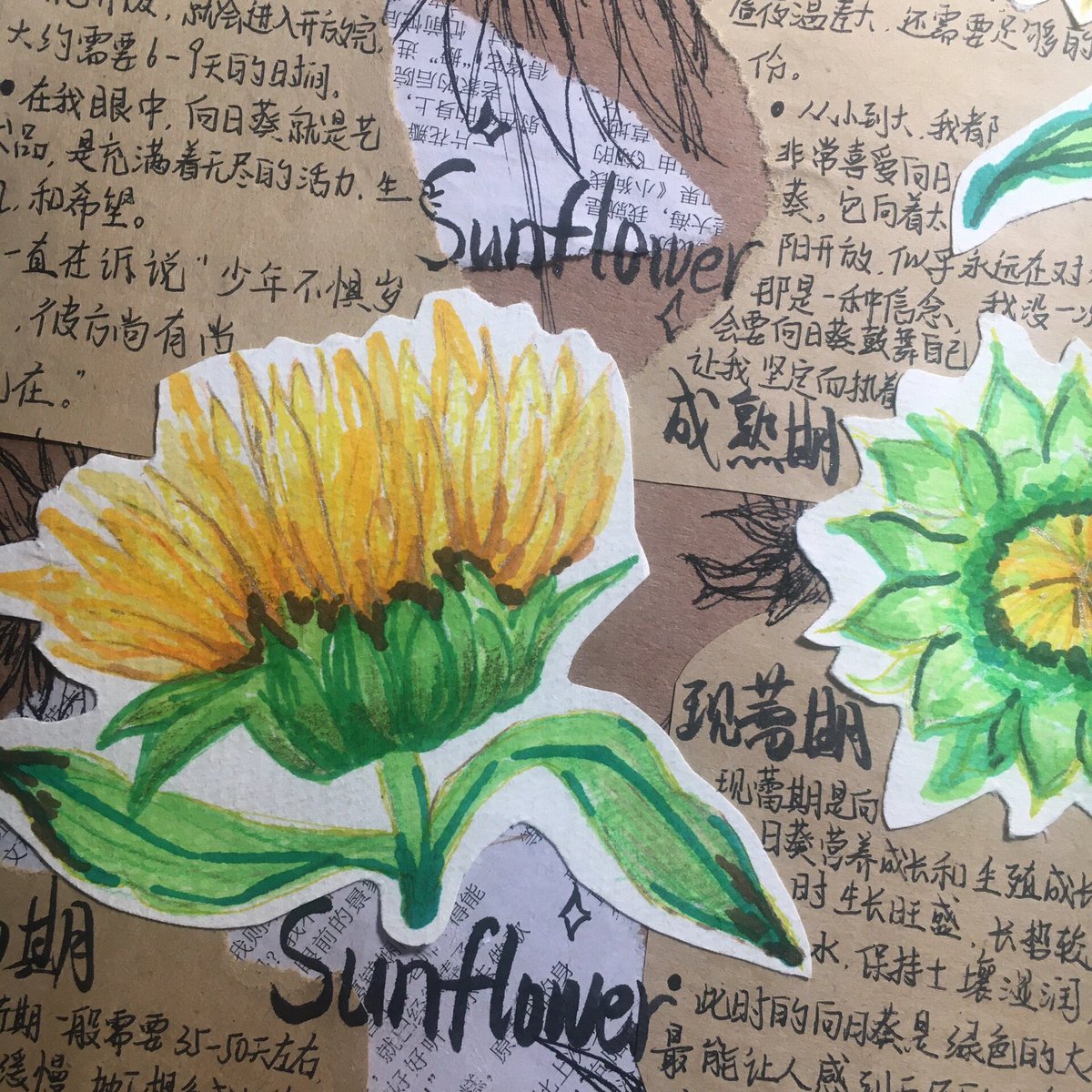 herlinda violand tweet media