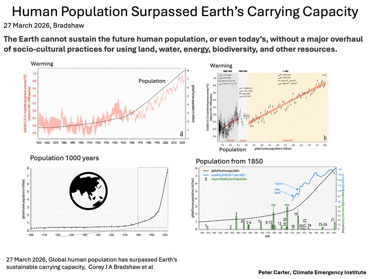 Peter D Carter tweet media