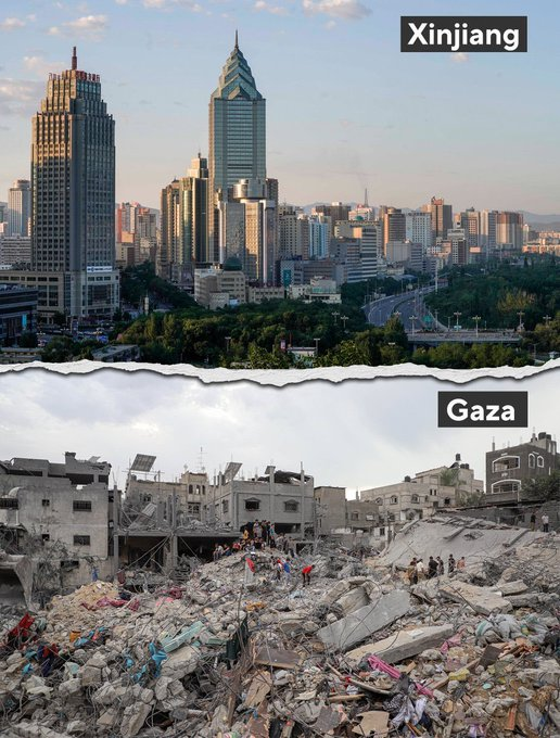 everythingisaboutchina tweet media