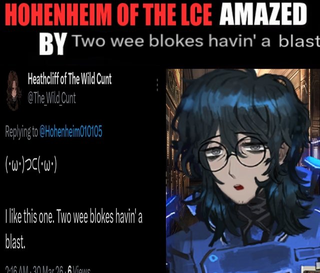 Hohenheim tweet media