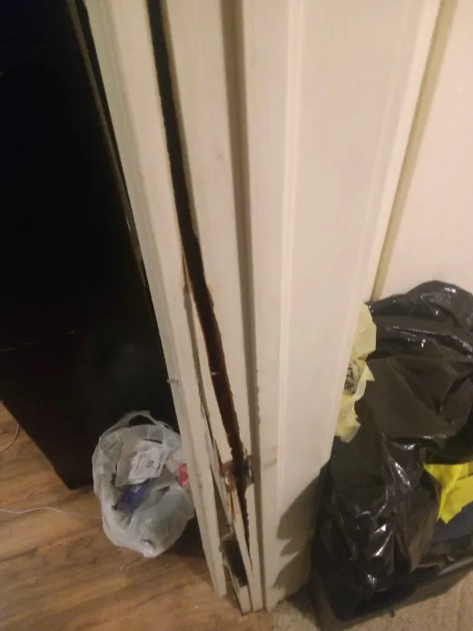 ran 🔞 rei's armpit sniffer tweet media