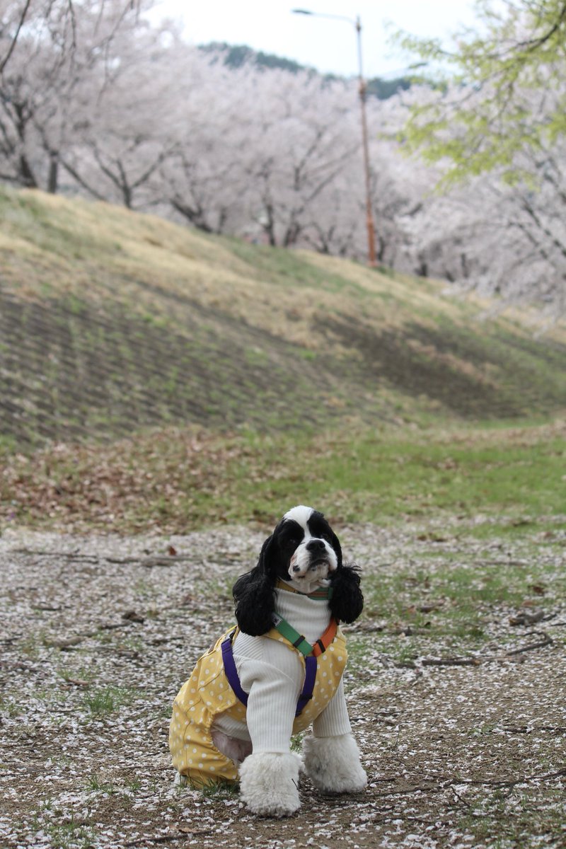 당근 🥕🥕🥕 tweet media