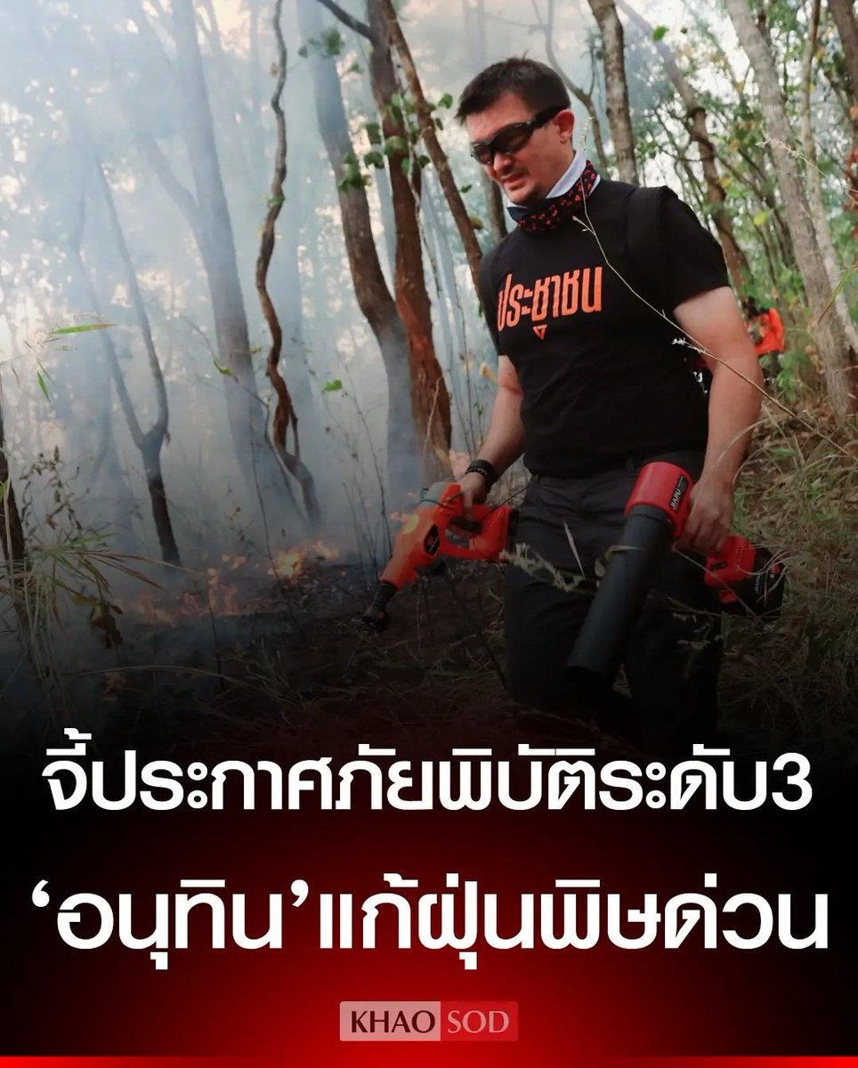 Tarot to youuuu tweet media