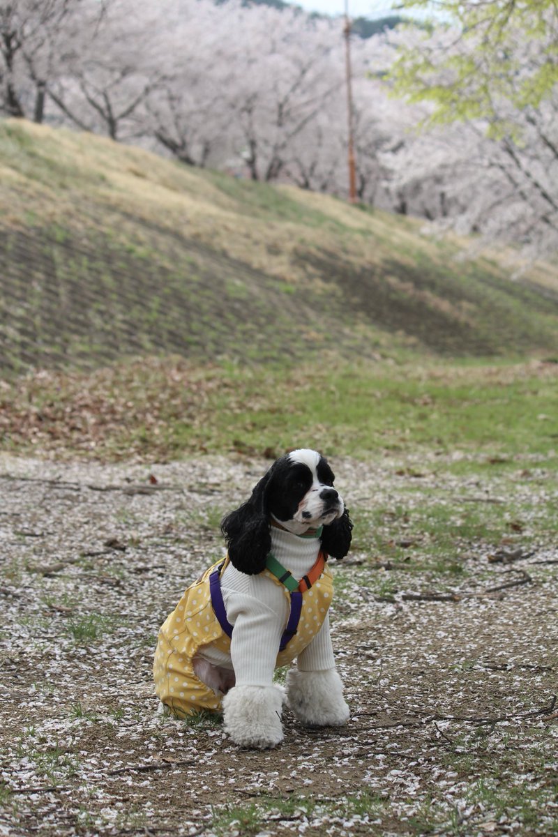 당근 🥕🥕🥕 tweet media