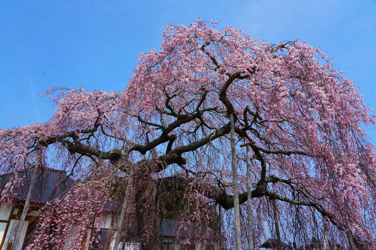 ひろくん tweet media