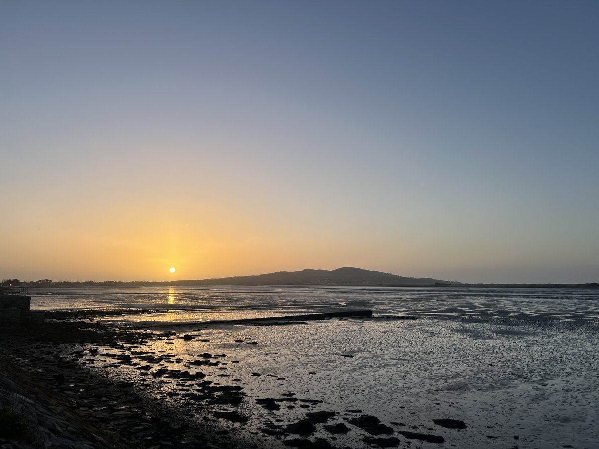 Emma Bullock 🇵🇸🇺🇦🐶🐾 ❤️🏉 tweet media