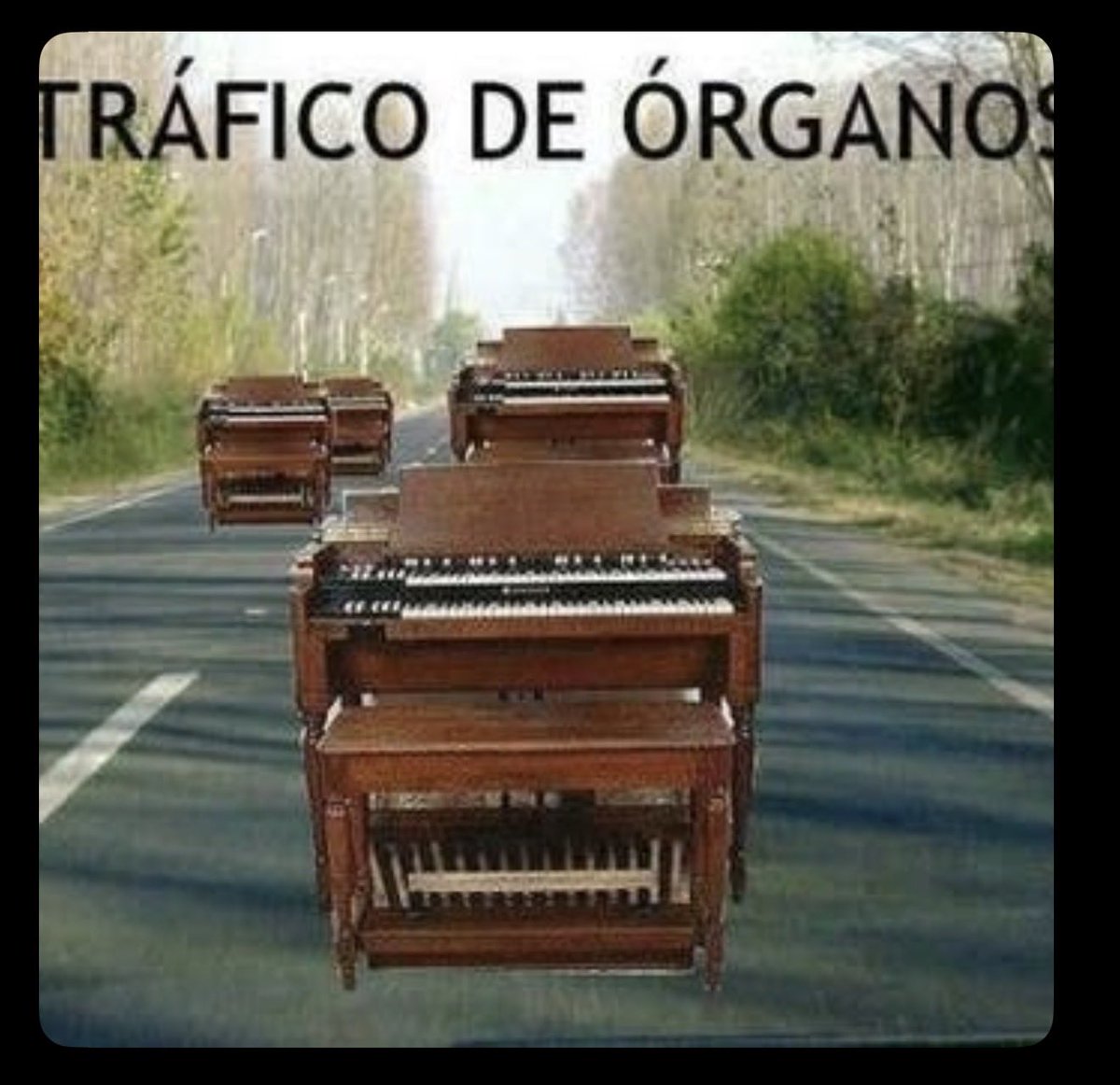 Daniel Millán López 🧠 Ψ tweet media