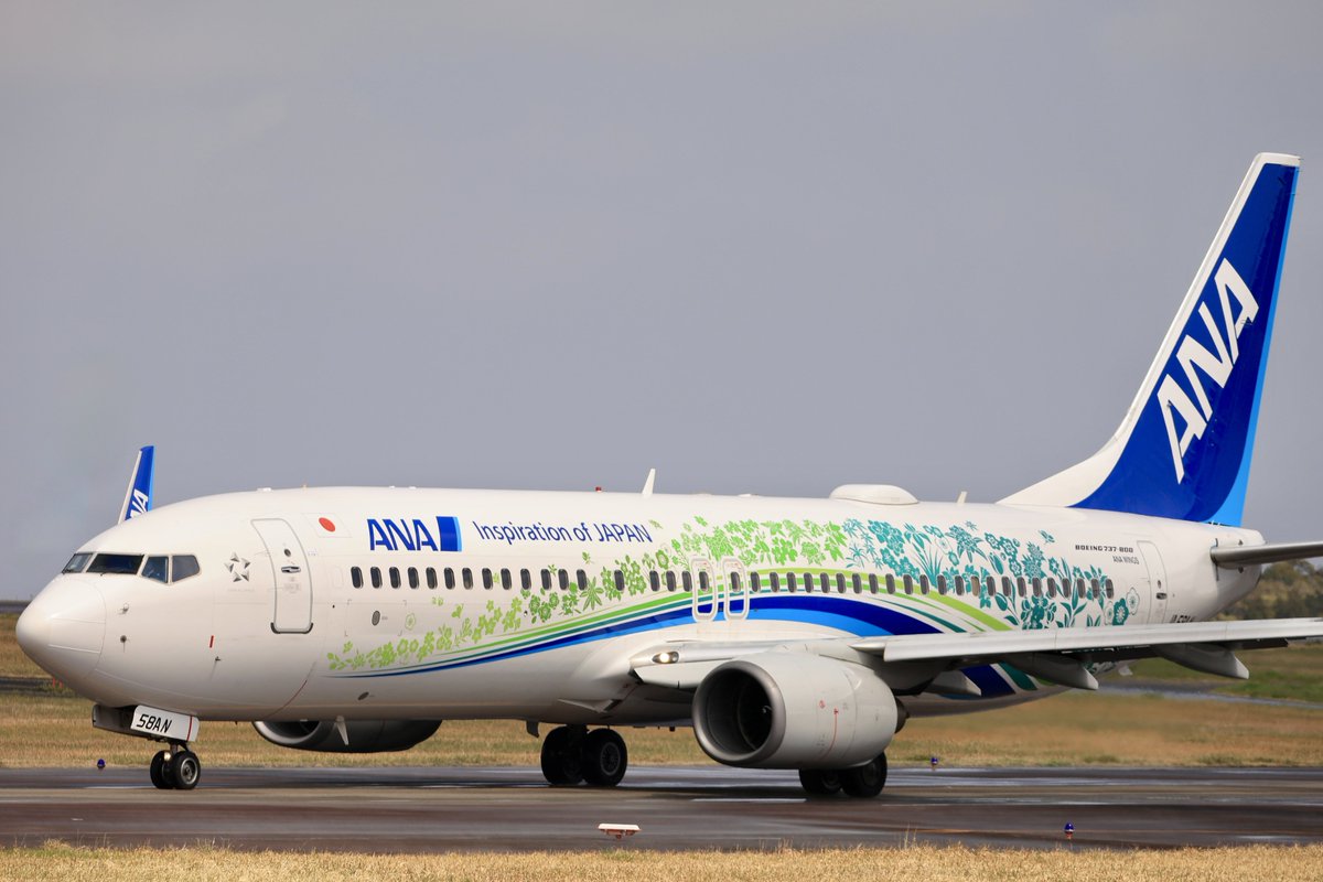 空カエル🐸 tweet media