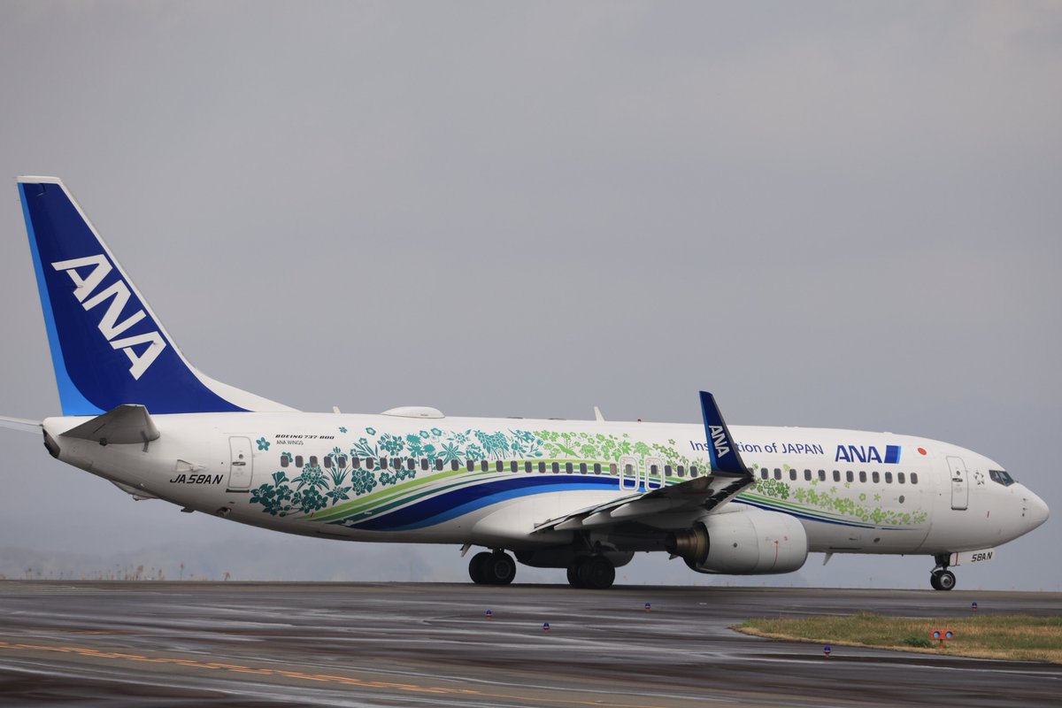 空カエル🐸 tweet media