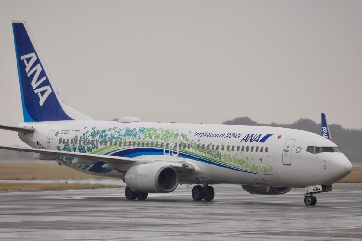 空カエル🐸 tweet media