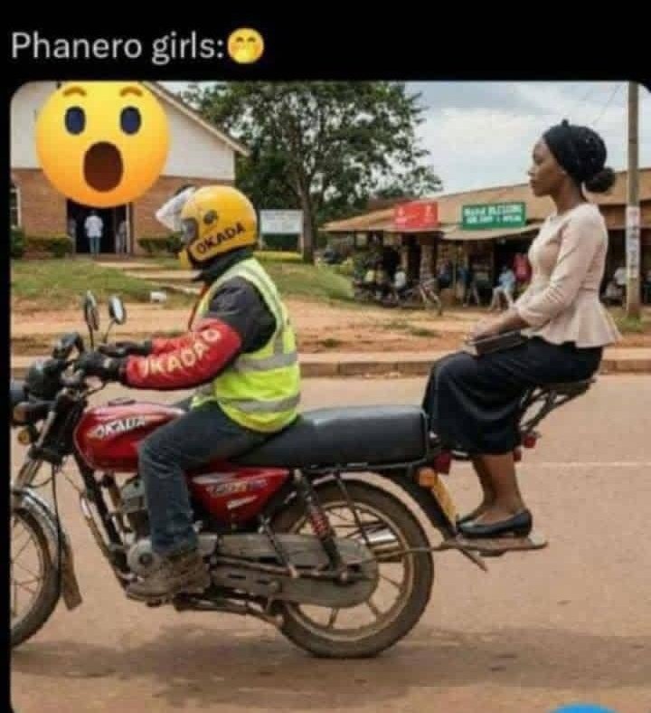 MCO.Balaam💉🧬 tweet media