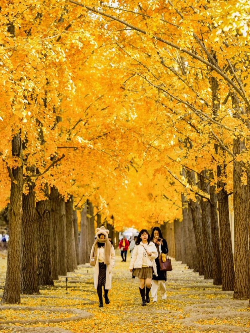 SHLFSPLY tweet media