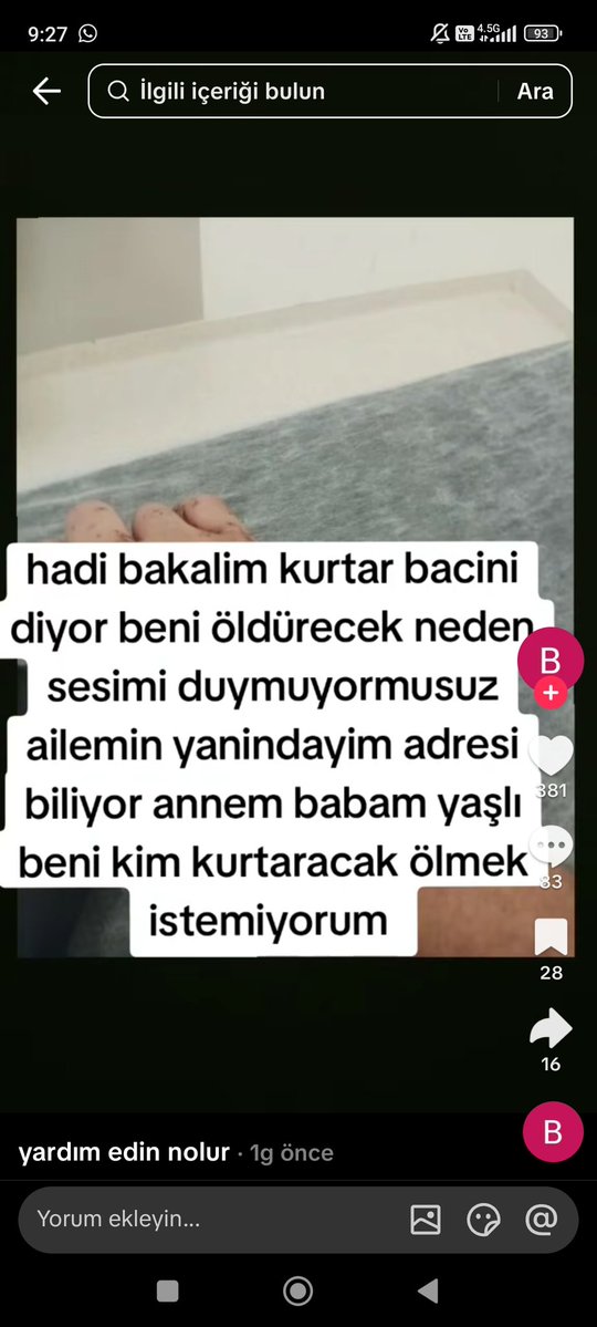 Beyza (apo siken) tweet media