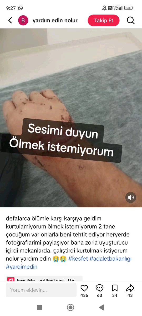 Beyza (apo siken) tweet media