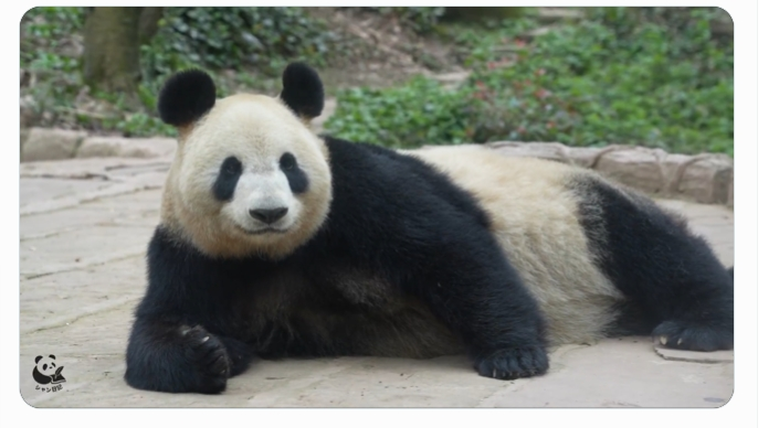 lovedidi ❤️🍒🌹💚ประทีปรักเหนือสองภพ tweet media