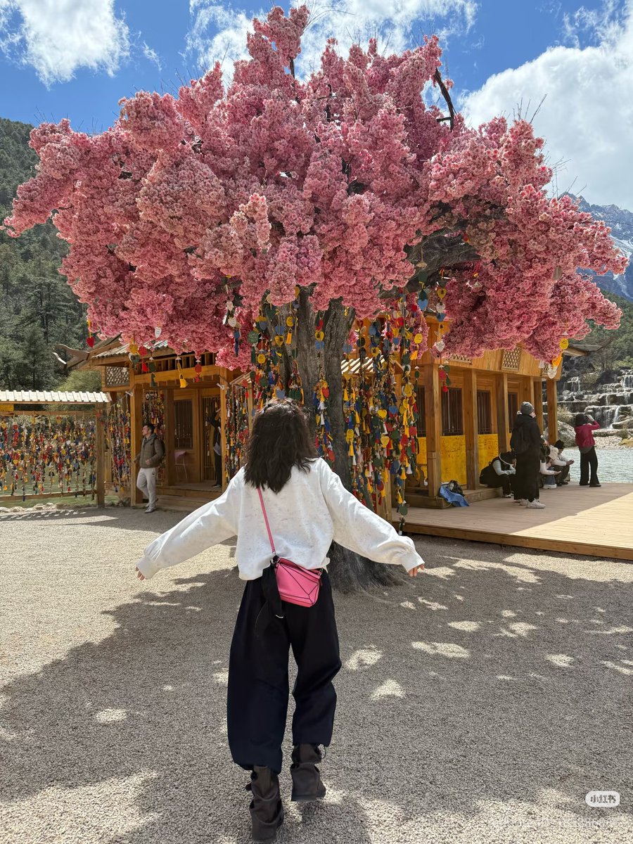 Niita33B's tweet photo. #XingFei XHS

~Okay, so here's the thing...
I miss you so much in Yunnan💚 https://t.co/OyaWYRWMJi