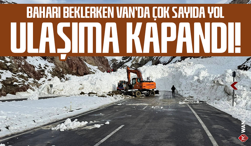 Wan Haber tweet media